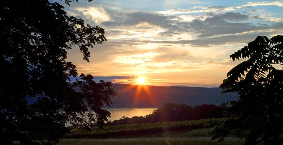 Visit a Finger Lakes Distillery When you Stay at our Bed and Breakfast